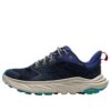 Anacapa 2 ‘Varsity Navy Mountain Iris’