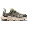Anacapa Low GORE-TEX ‘Arpa Tohumu Yeşili’