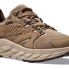 Anacapa Low GORE-TEX ‘Dune Oxford Tan’