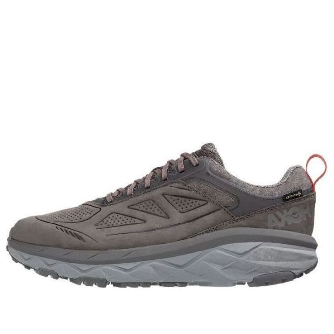 Challenger Low Gore-Tex ‘Kömür Grisi Fiesta’