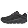 Challenger Low Gore-Tex ‘Siyah’