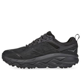 Challenger Low Gore-Tex ‘Siyah’