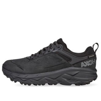 Challenger Low Gore-Tex ‘Siyah’