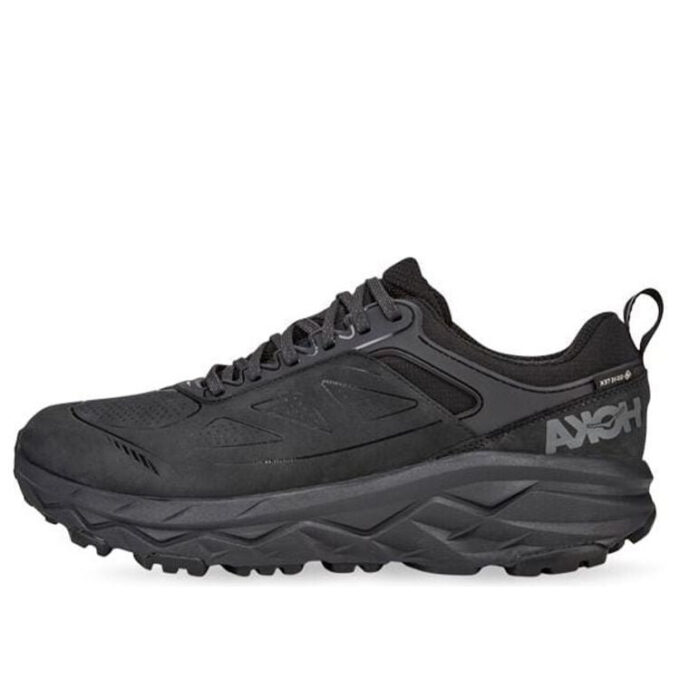 Challenger Low Gore-Tex ‘Siyah’