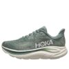 Clifton 10 ‘Fern Trüf Tuzu’