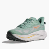 HOKA BİR BİR Bondi 9