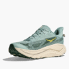 HOKA BİR BİR Bondi 9