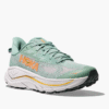 HOKA BİR BİR Bondi 9
