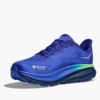 HOKA HOKA ONE ONE Elaro Örgü Tayt 27″