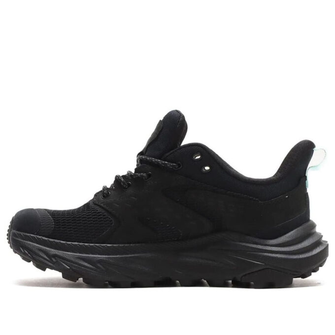 (WMNS) Anacapa 2 Low Gore-Tex ‘Üçlü Siyah’