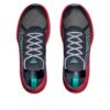 Zinal 2 ‘Fırtınalı Gökyüzü Kiraz’ Zinal 2 ‘Fırtınalı Gökyüzü Kiraz’